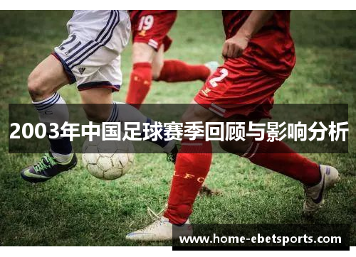 2003年中国足球赛季回顾与影响分析